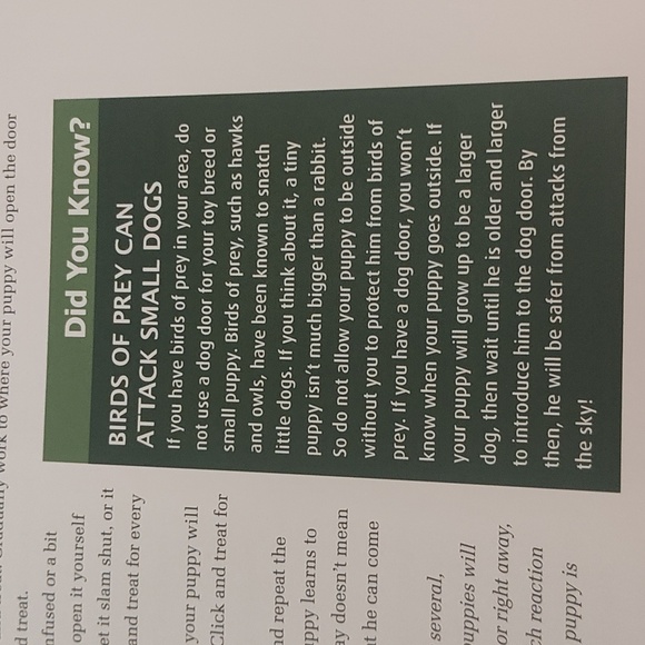 Dog Training Guide Book - Picture 9 of 15